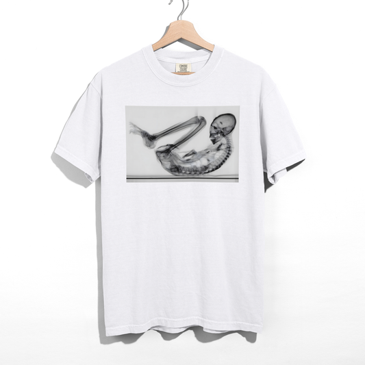 Montserrat — Pure Cotton Tee