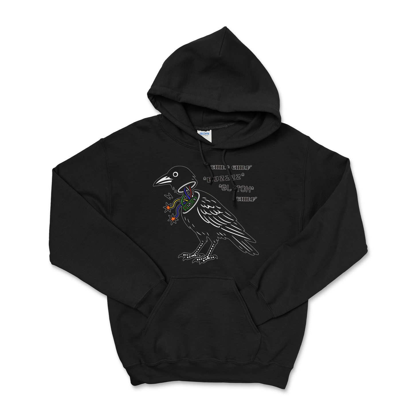 Birds Aren't Real — Field Protocol Hoodie