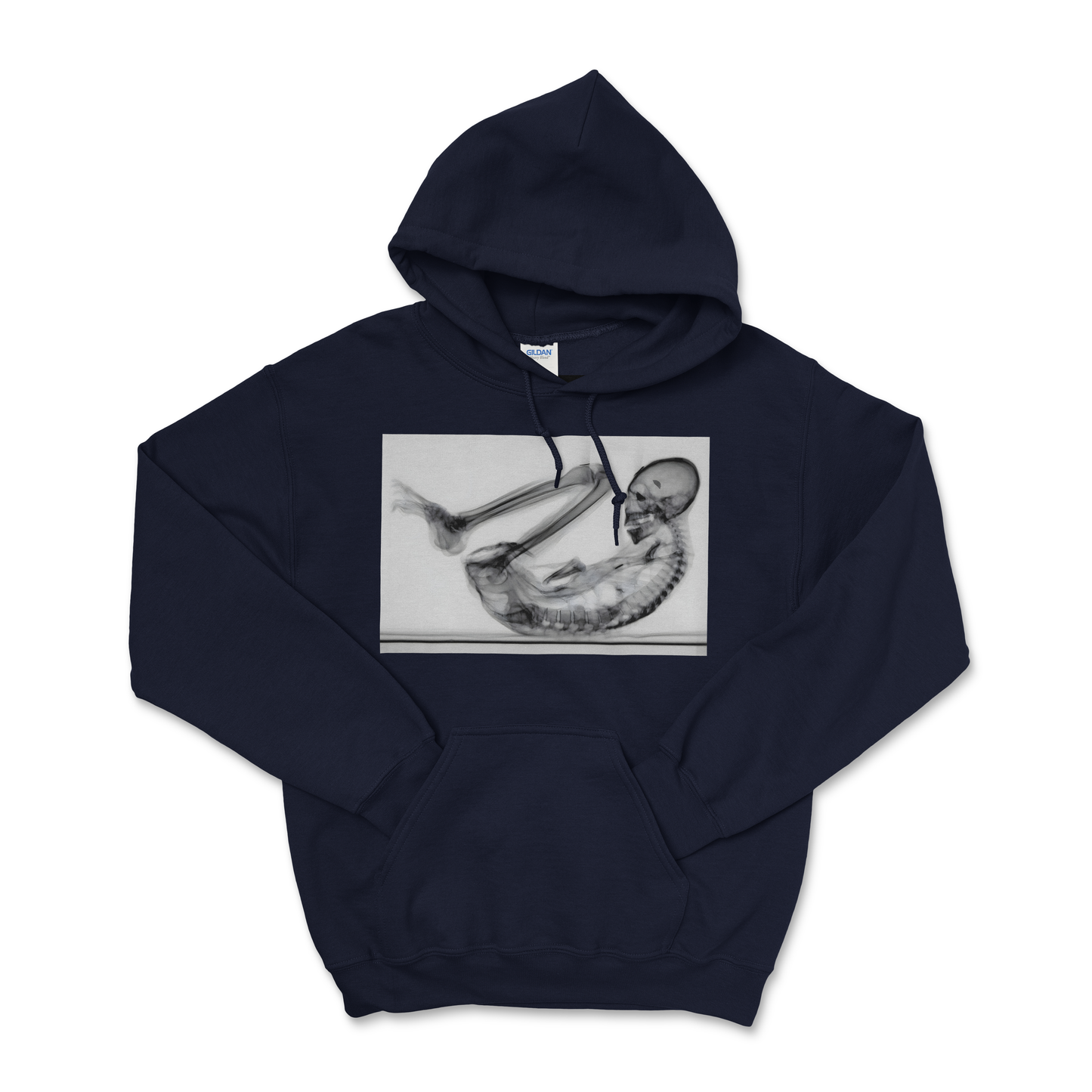Montserrat — Field Protocol Hoodie