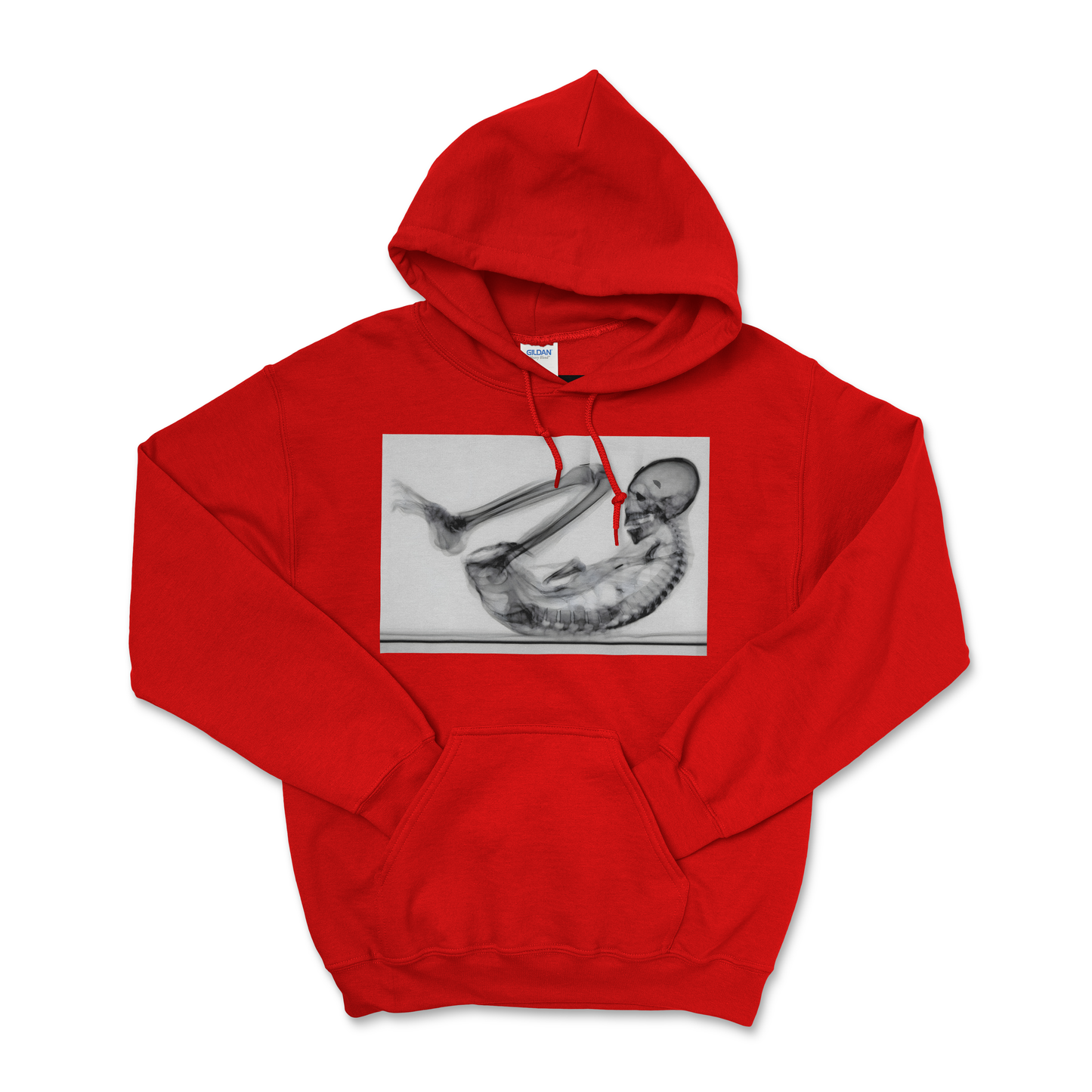 Montserrat — Field Protocol Hoodie