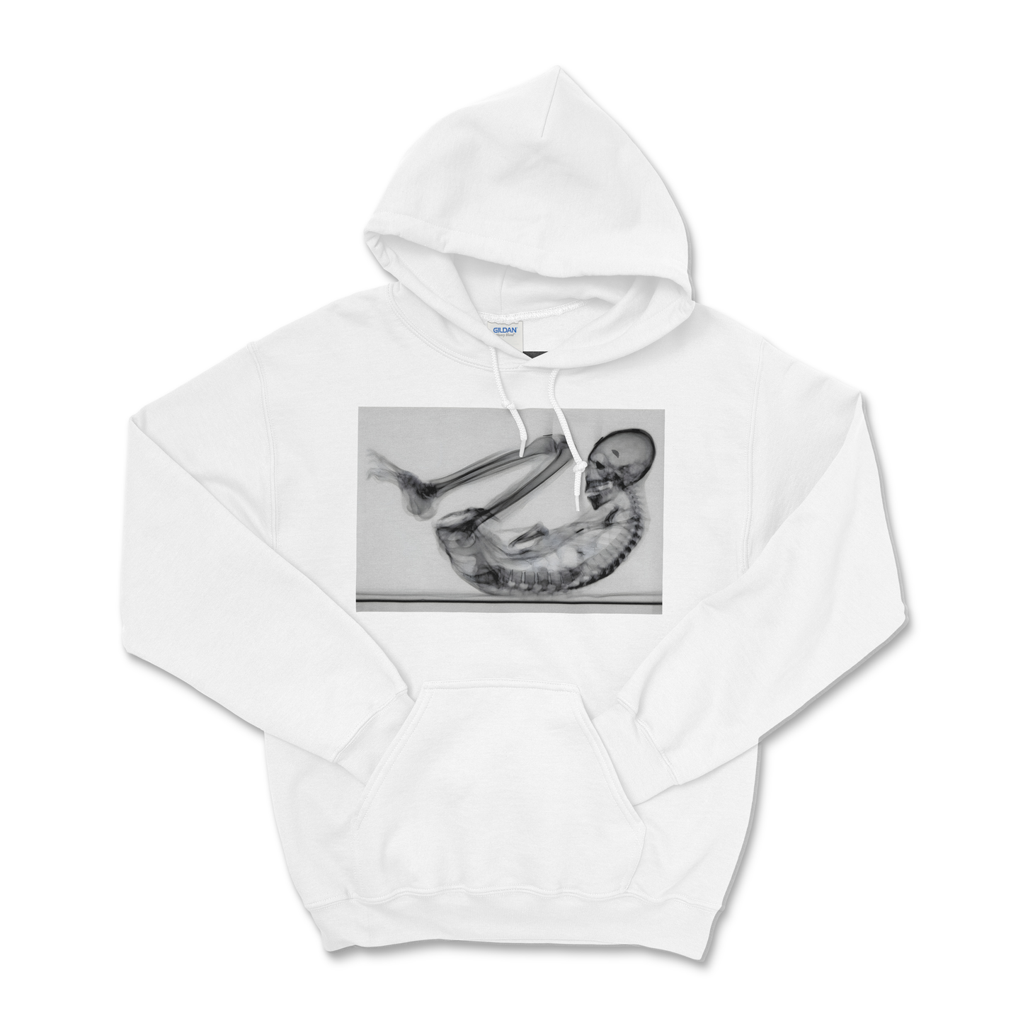 Montserrat — Field Protocol Hoodie
