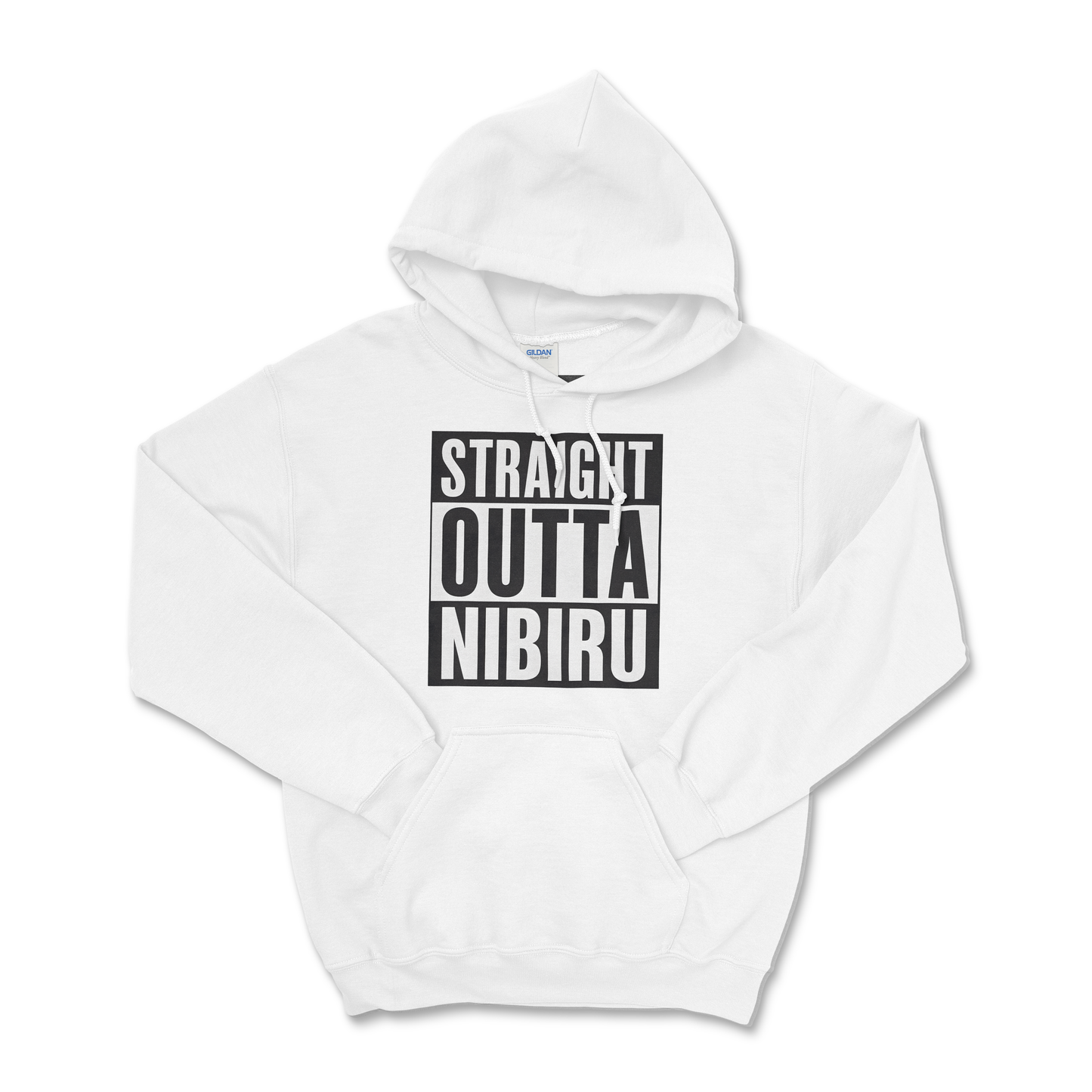 Straight Outta Nibiru — Field Protocol Hoodie