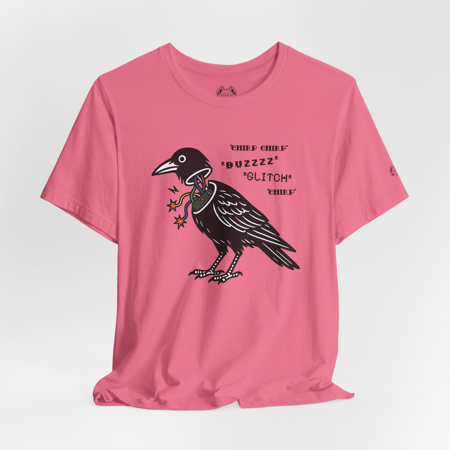 BIRDS AREN'T REAL — Standard Issue Tee
