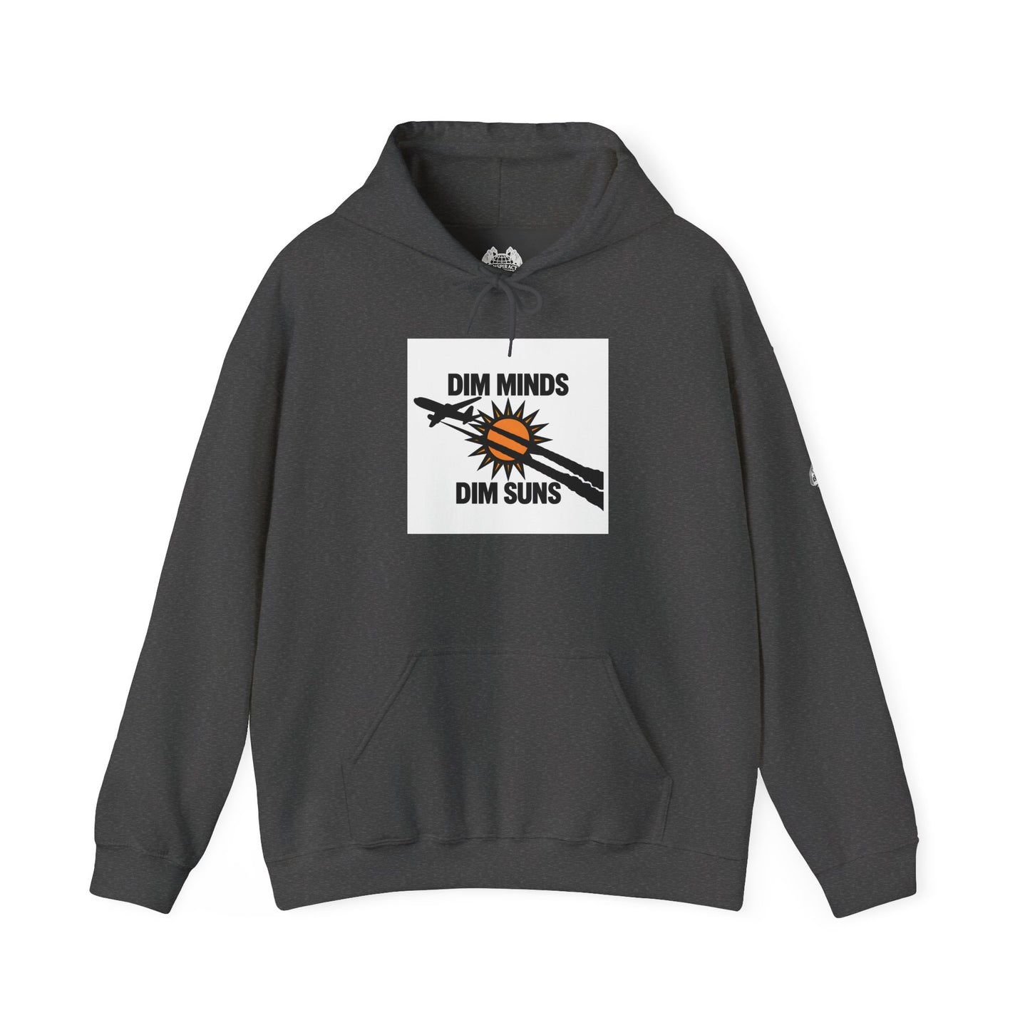 DIM MINDS DIM SUNS — Standard Issue Hoodie
