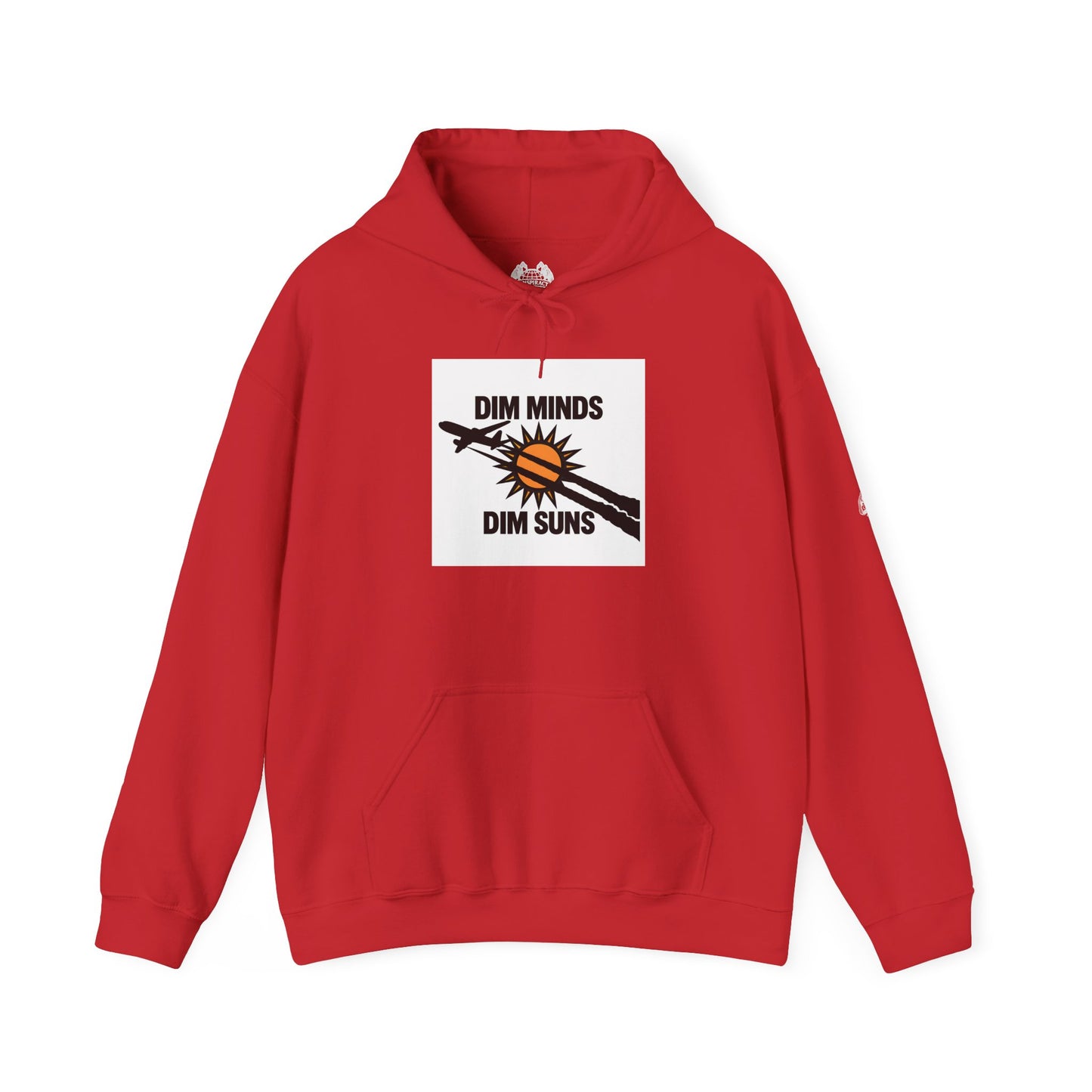 DIM MINDS DIM SUNS — Standard Issue Hoodie