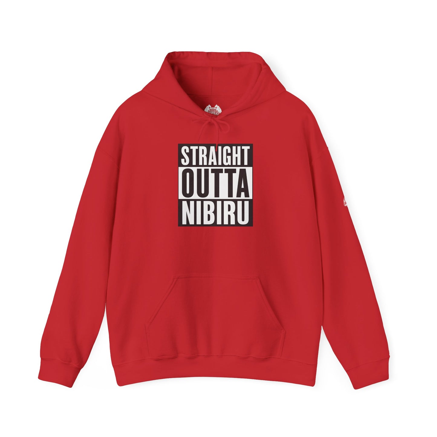 STRAIGHT OUTTA NIBIRU — Standard Issue Hoodie