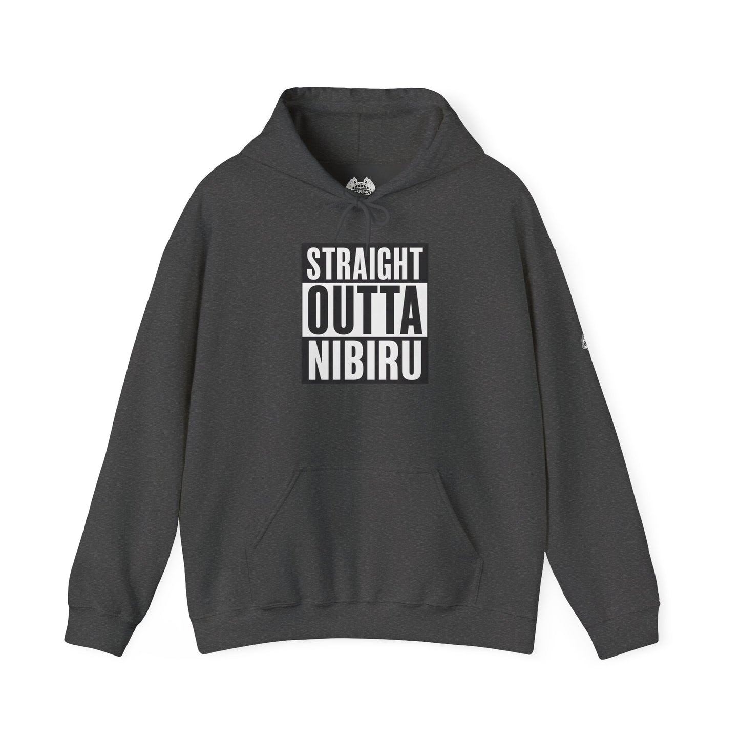 STRAIGHT OUTTA NIBIRU — Standard Issue Hoodie