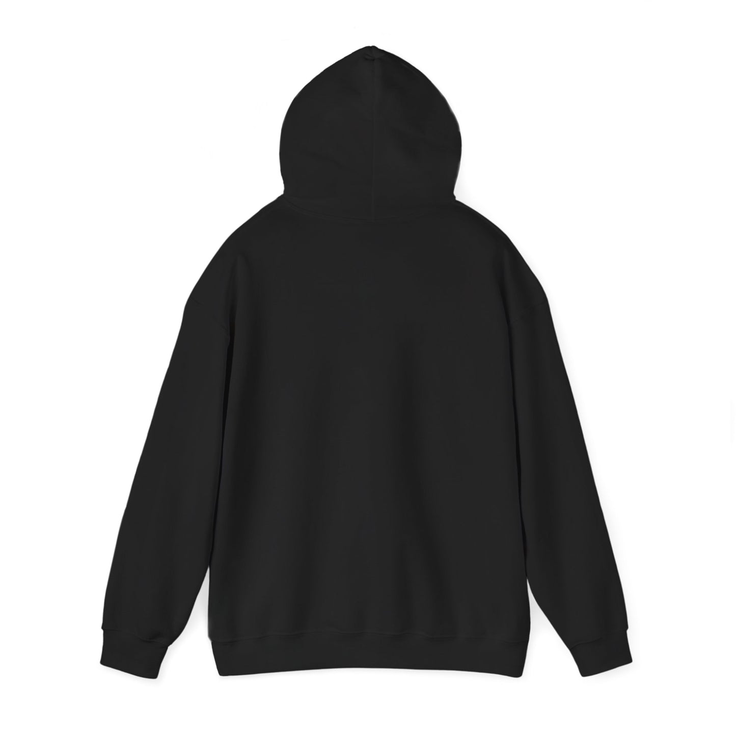 Fravor — Field Protocol Hoodie