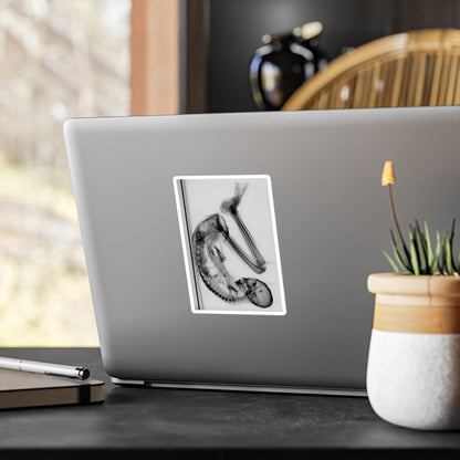 Montserrat — Vinyl Sticker