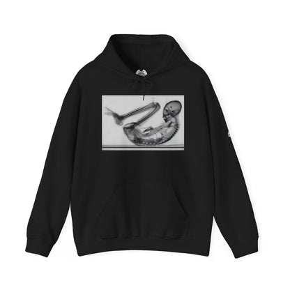 MONTSERRAT — Standard Issue Hoodie
