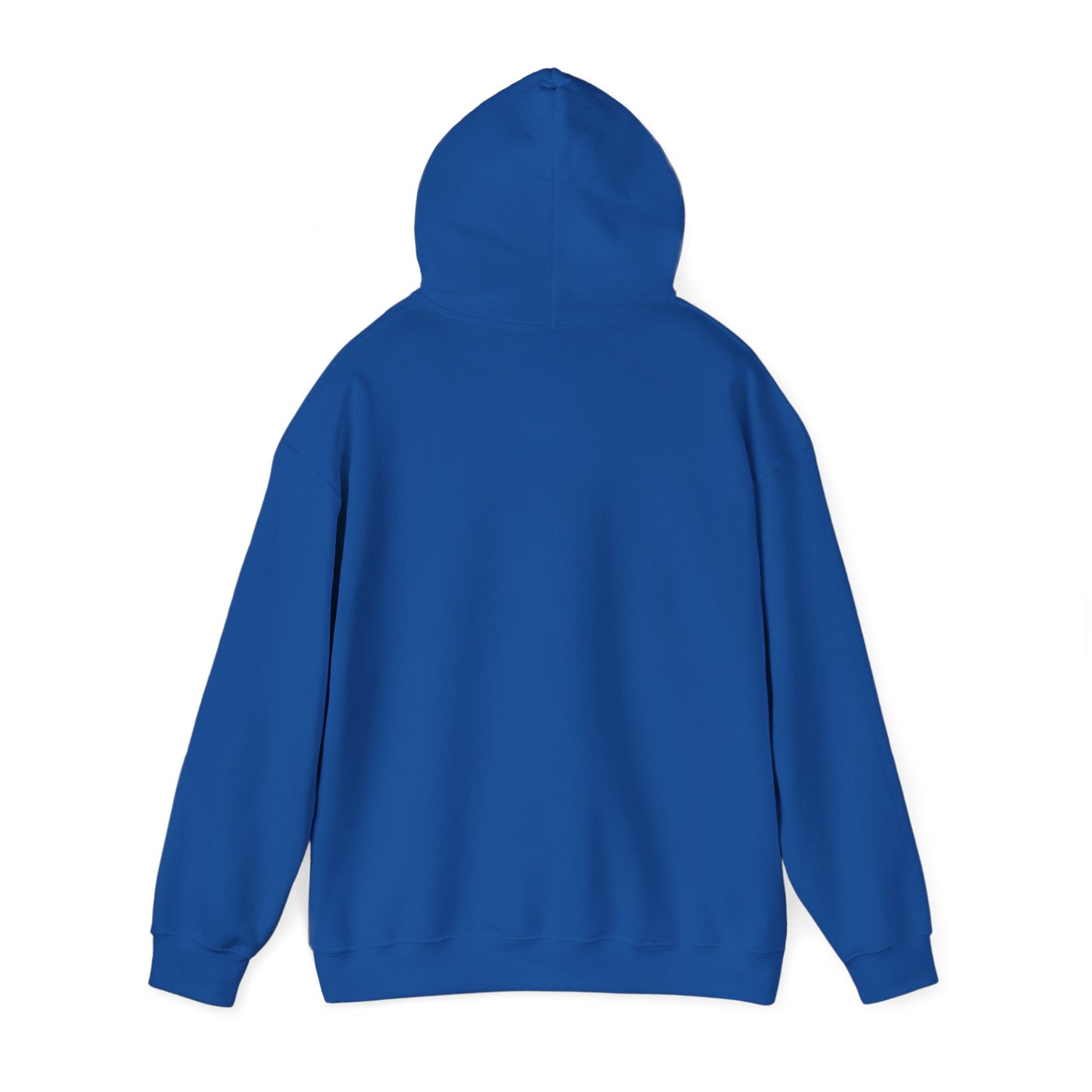 Fravor — Field Protocol Hoodie