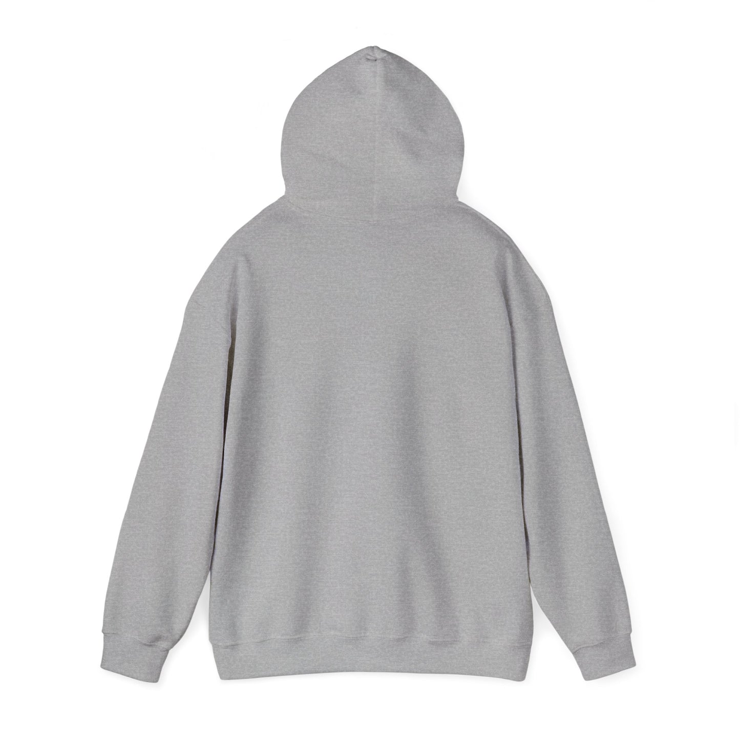 Fravor — Field Protocol Hoodie