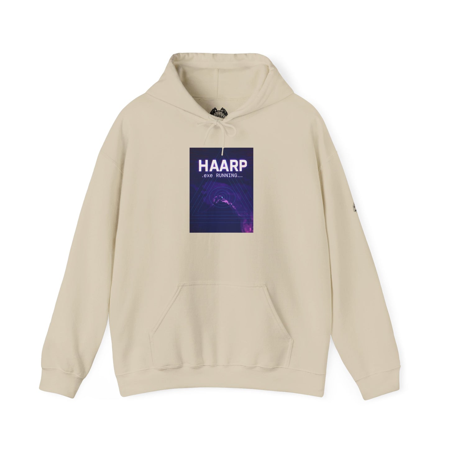 HAARP.EXE — Standard Issue Hoodie