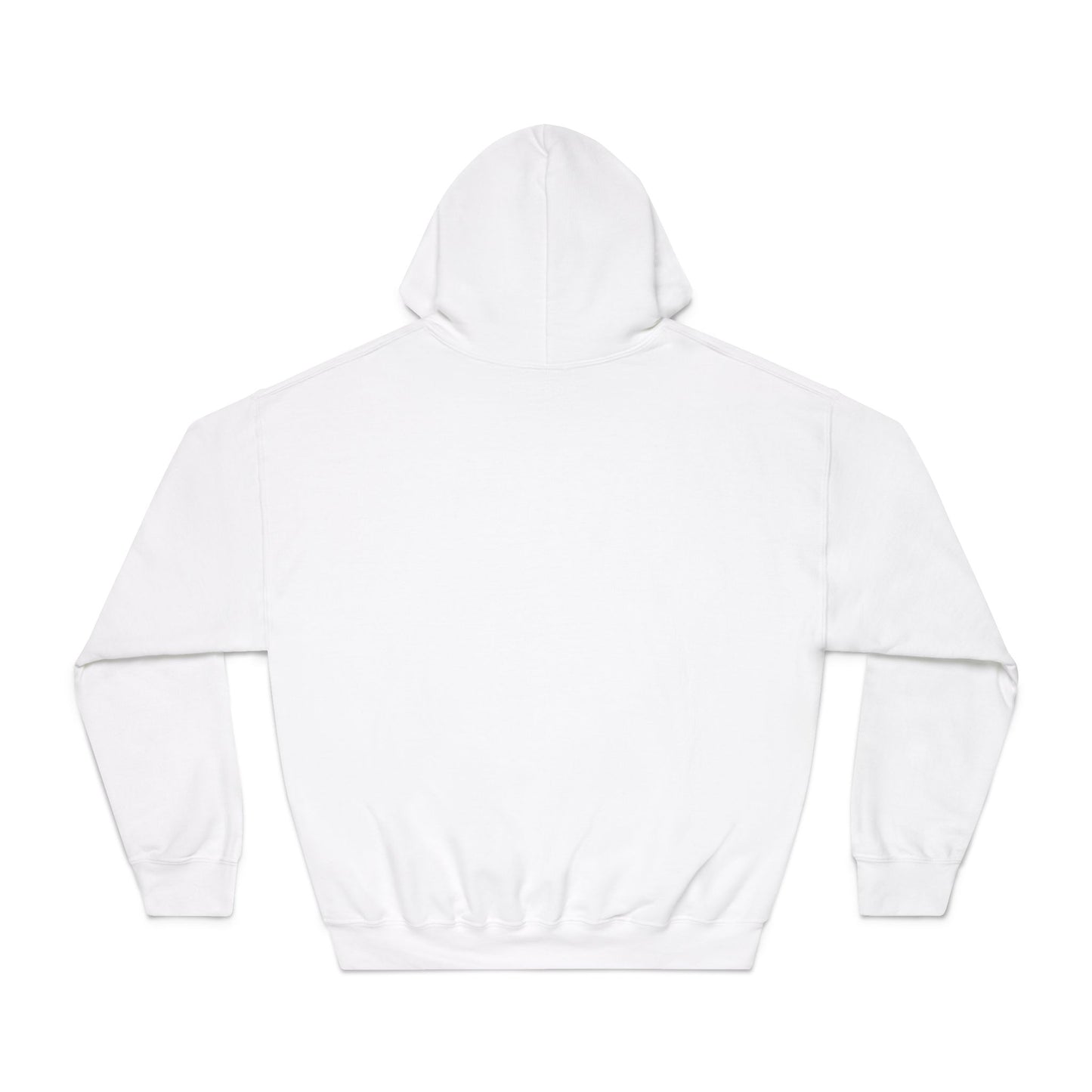 Palanfear — Field Protocol Hoodie
