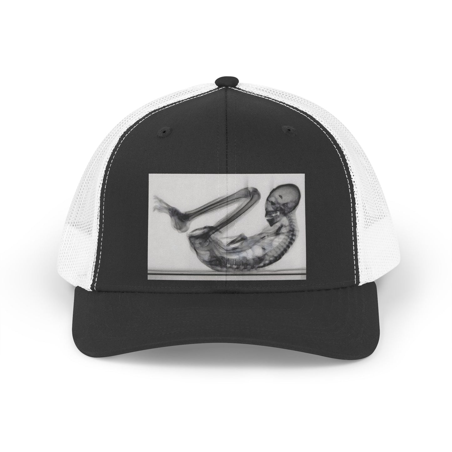 MONTSERRAT — Premium Trucker