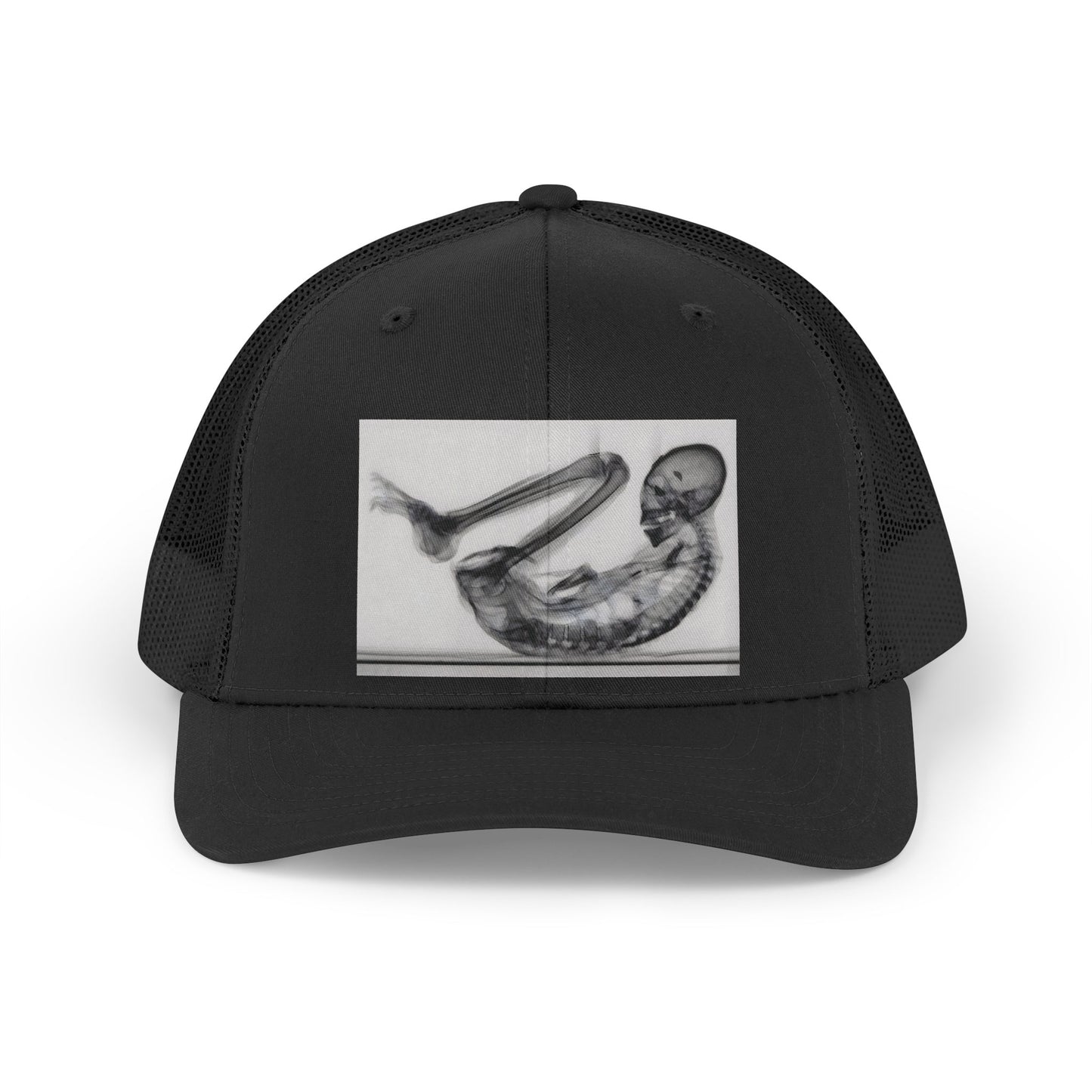 MONTSERRAT — Premium Trucker