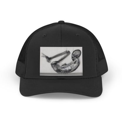 MONTSERRAT — Premium Trucker