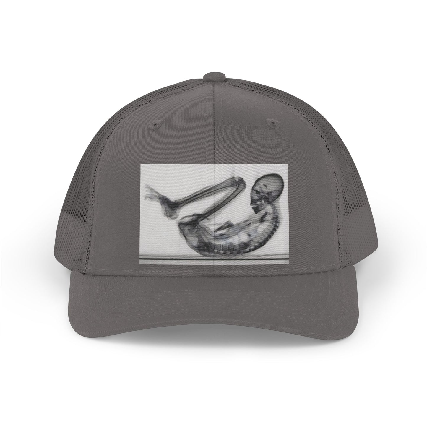 MONTSERRAT — Premium Trucker