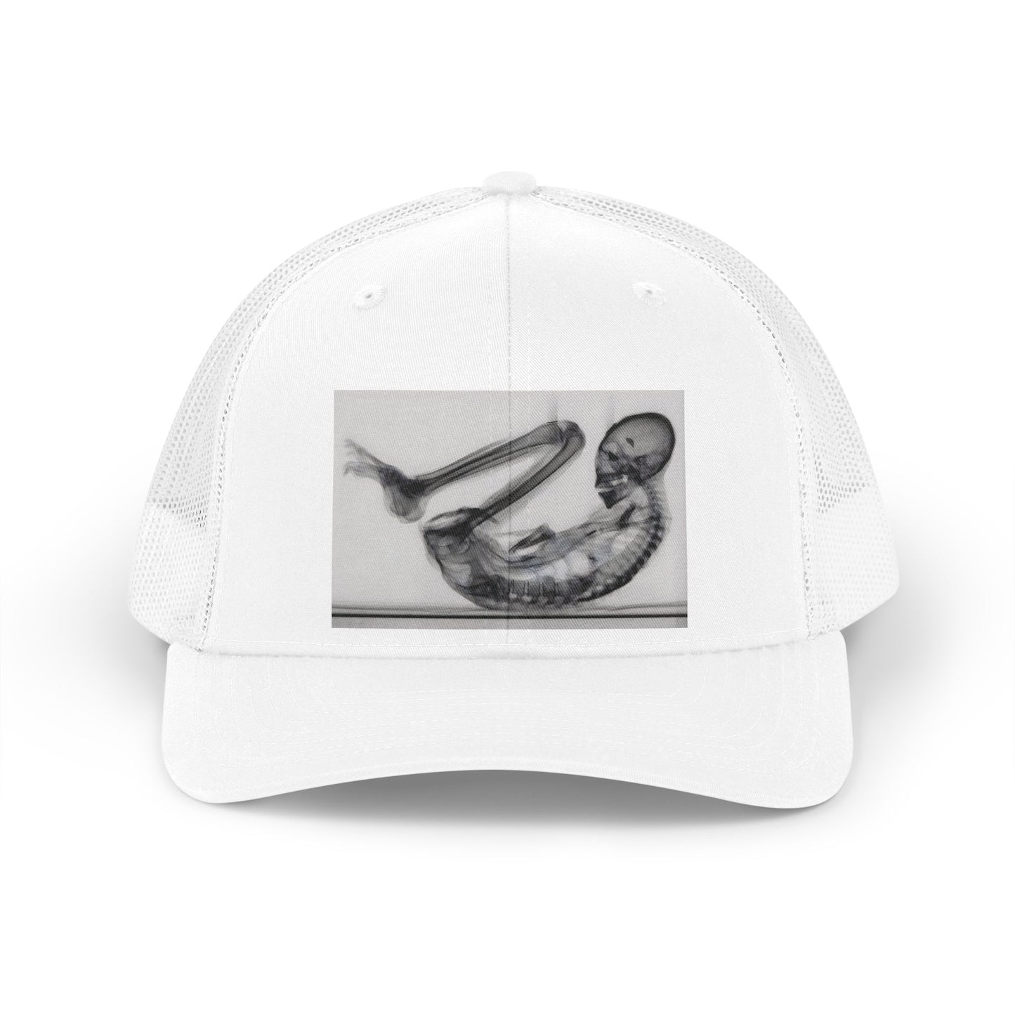 MONTSERRAT — Premium Trucker