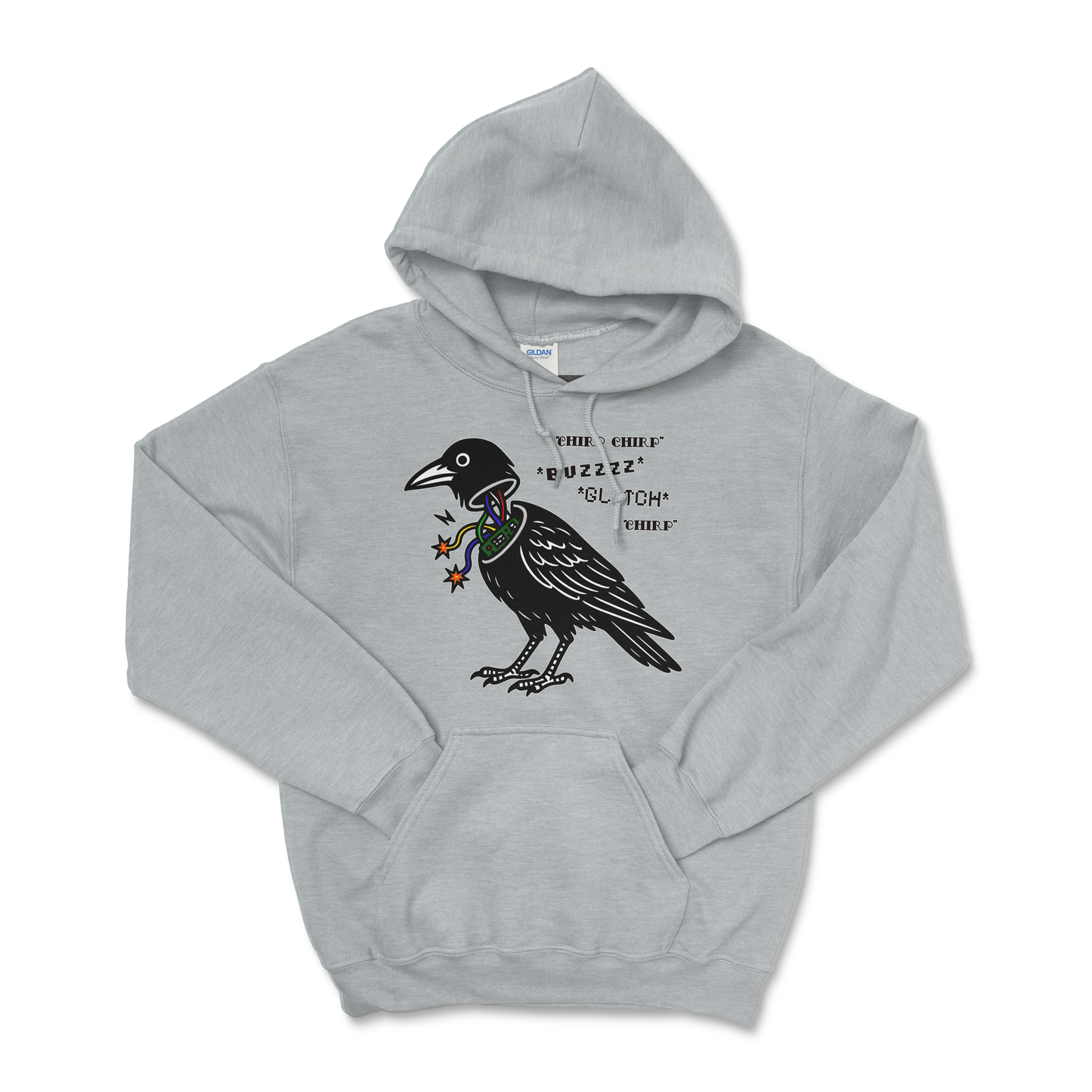 Birds Aren't Real — Field Protocol Hoodie