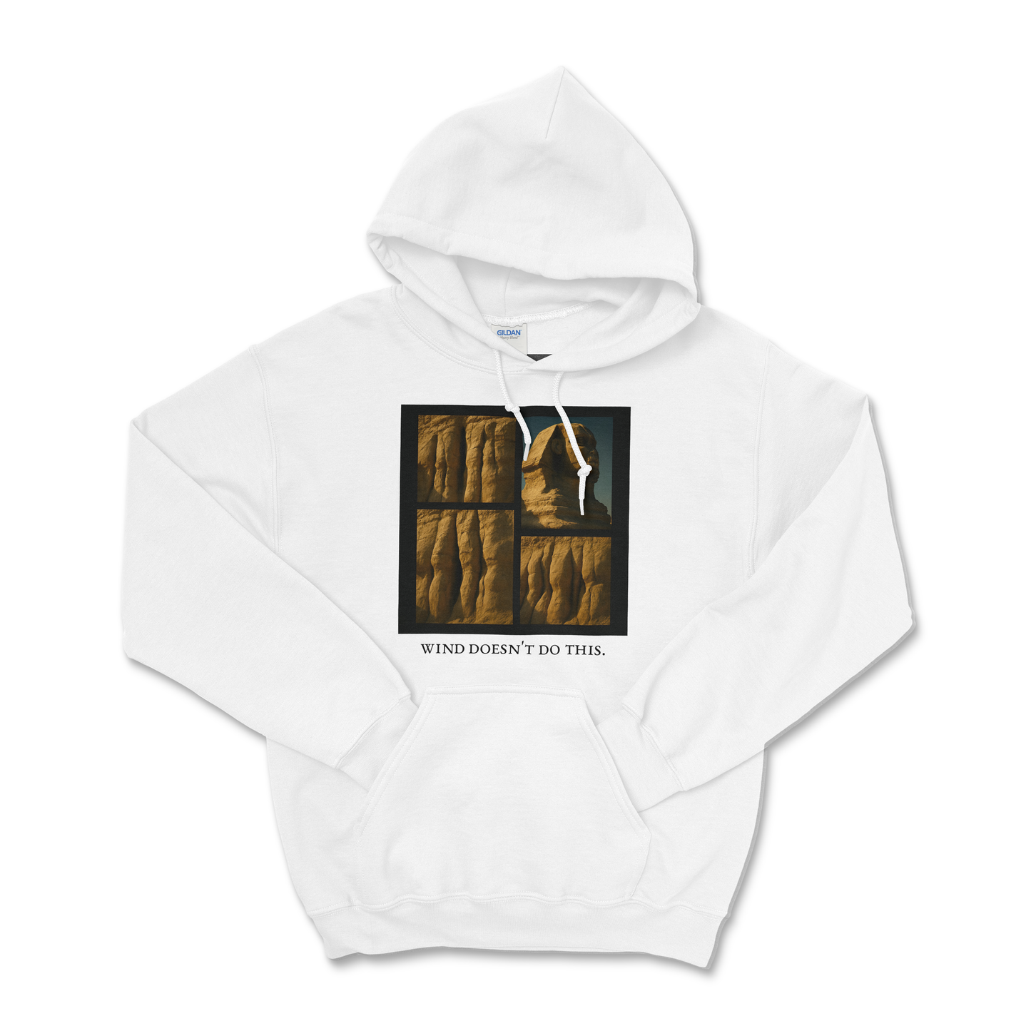 Schoch and Awe — Field Protocol Hoodie