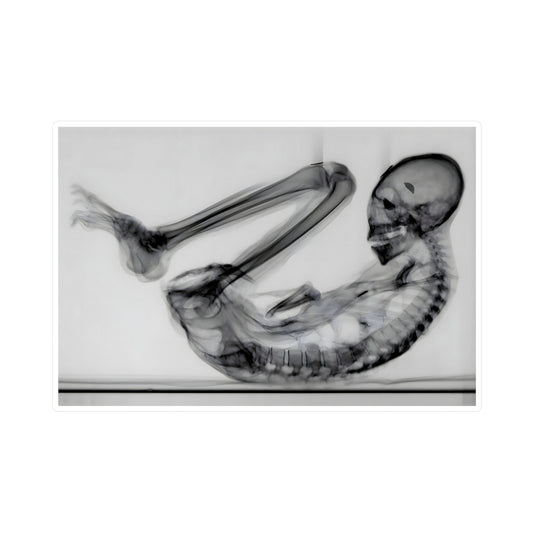 Montserrat — Vinyl Sticker